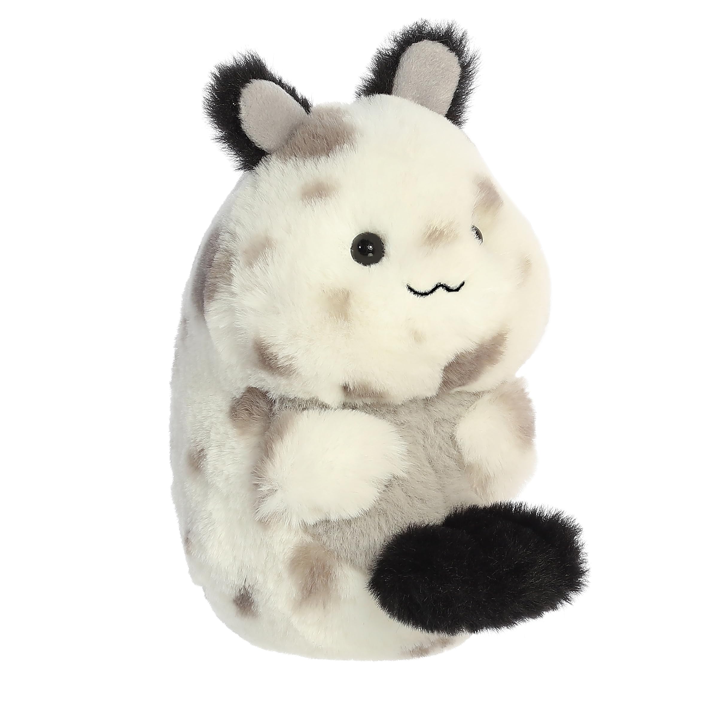 Rolly Pet